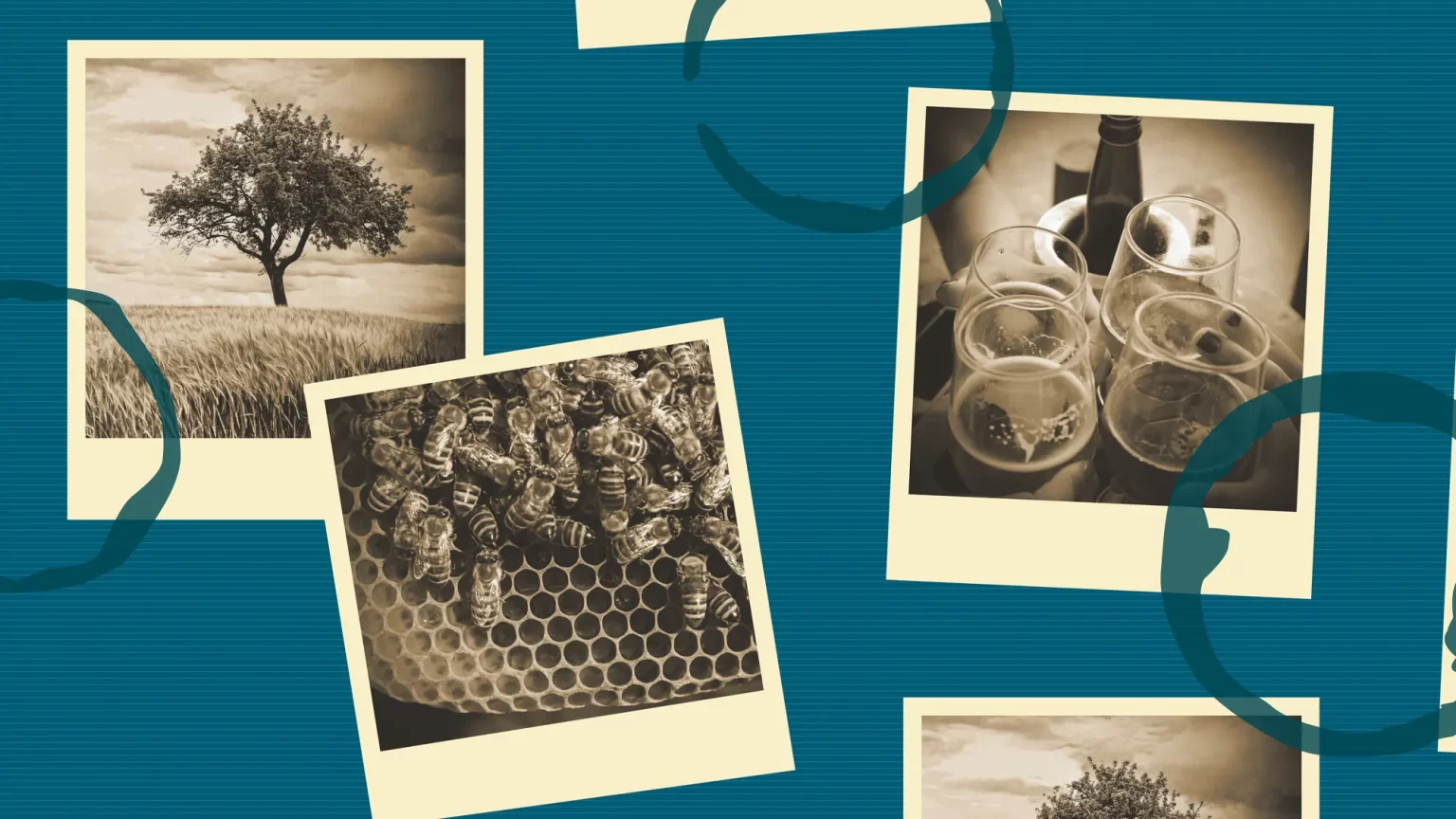 Envalla_layout_hemsida-02_w-1536x864